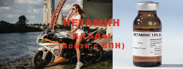 прущие грибы Новодвинск
