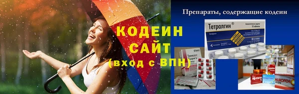 прущие грибы Новодвинск